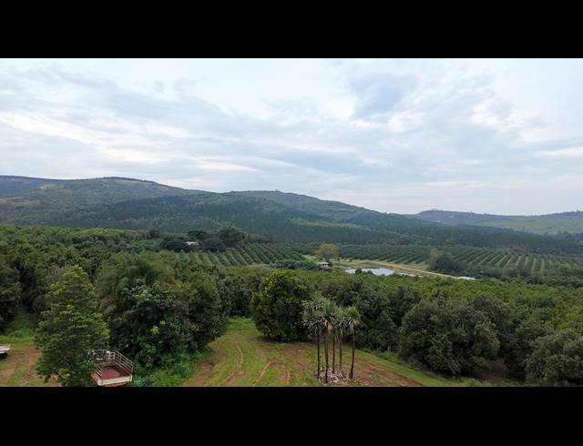 150HA FARM FOR SALE IN NELSPRUIT RURAL